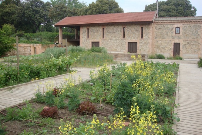 Aquest diumenge el Parc de Can Solei i de Ca l’Arnús acull l’activitat participativa ‘La tardor al Jardí de les Ciències’