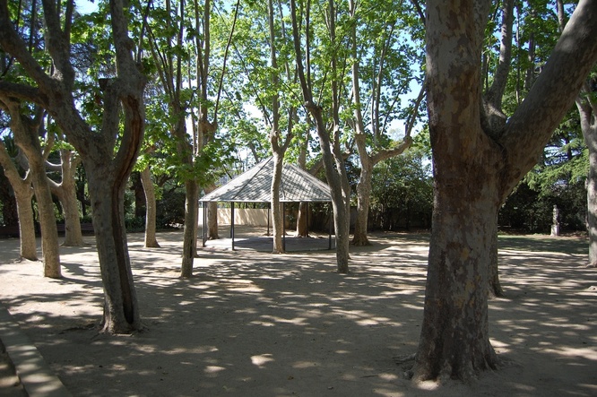Aquest diumenge taller sobre La vegetació singular i la biodiversitat del parc de Can Solei i de Ca l'Arnús de Badalona