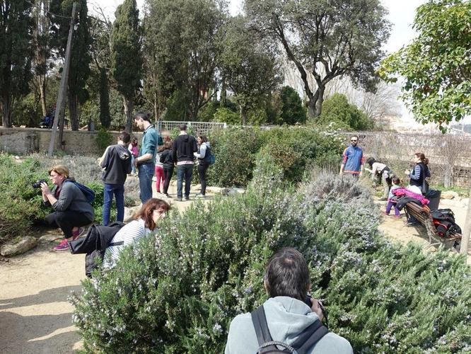 Badalona participa, del 26 al 29 d'abril, a la Biomarató-City Nature Challenge 2019