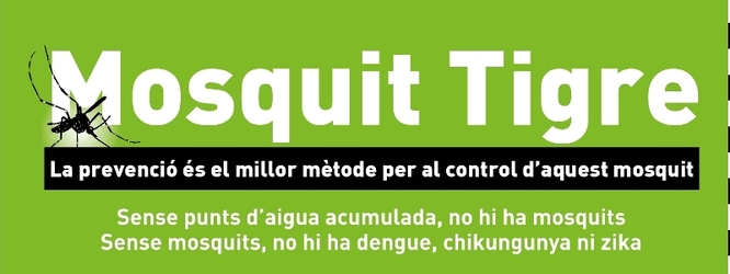 L’Ajuntament inicia la campanya informativa sobre el mosquit tigre