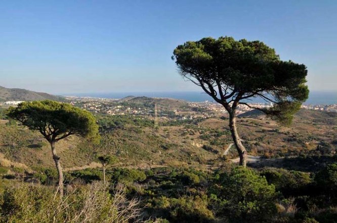 Demà es presenta una nova edició de la cursa nocturna de muntanya Bada Trail de Badalona