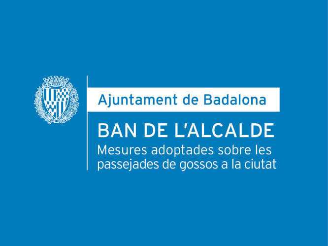 Els gossos només els podrà passejar una persona durant l'estat d'alarma i no més enllà de 100 metres del seu domicili