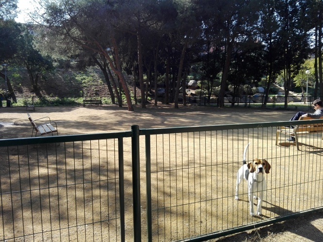 L'Ajuntament de Badalona ofereix suport als propietaris d'animals de companyia durant l'estat d'alarma per la crisi del coronavirus