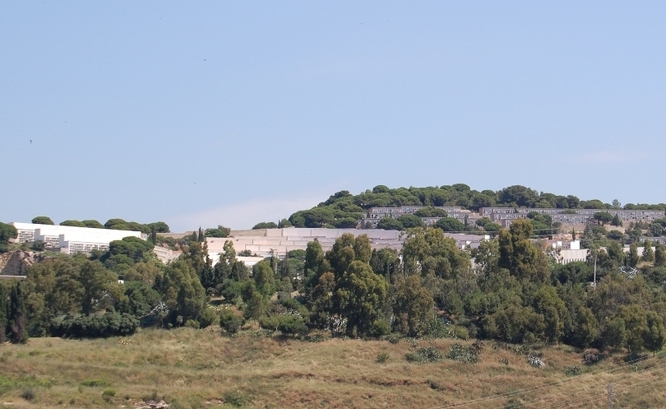 Es reinicia el servei de neteja de les àrees verdes del cementiri de Sant Pere