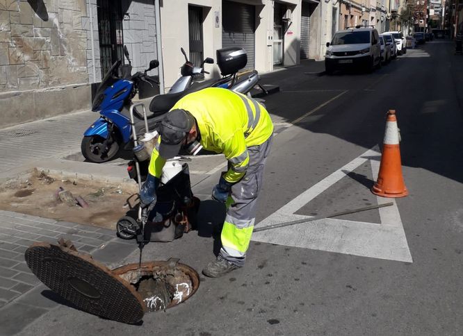 L’Ajuntament inicia una nova estratègia de tractament del clavegueram per prevenir, reduir i controlar la presència de paneroles en zones d’especial risc de proliferació