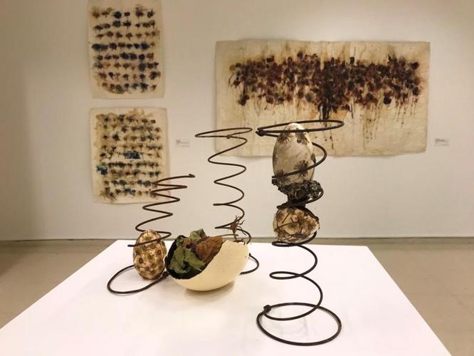 HerbArt: botànica i creació artística és la nova exposició al Centre Cultural El Carme de Badalona