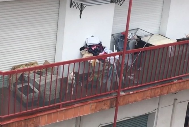 L’Ajuntament de Badalona decomissa un gos maltractat