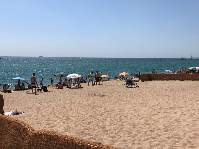 Entra en funcionament la platja de gossos de Badalona