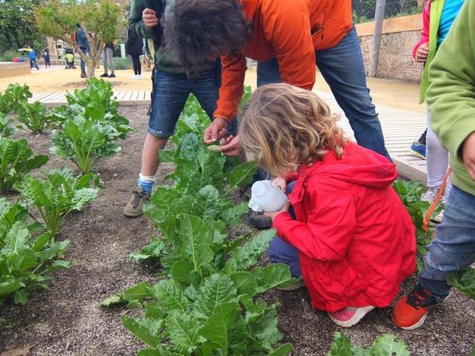 El parc de Can Solei i de Ca l’Arnús acull aquest diumenge dues activitats dins de la programació de la Jugatecambiental