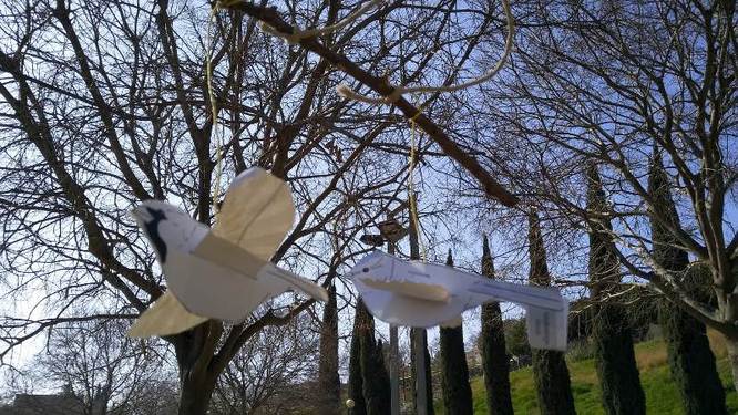 Aquest cap de setmana arrenca la programació de primavera a les Jugatecambientals al parc de Can Solei i de Ca l’Arnús i al parc del Torrent de la Font i del Turó de l’Enric